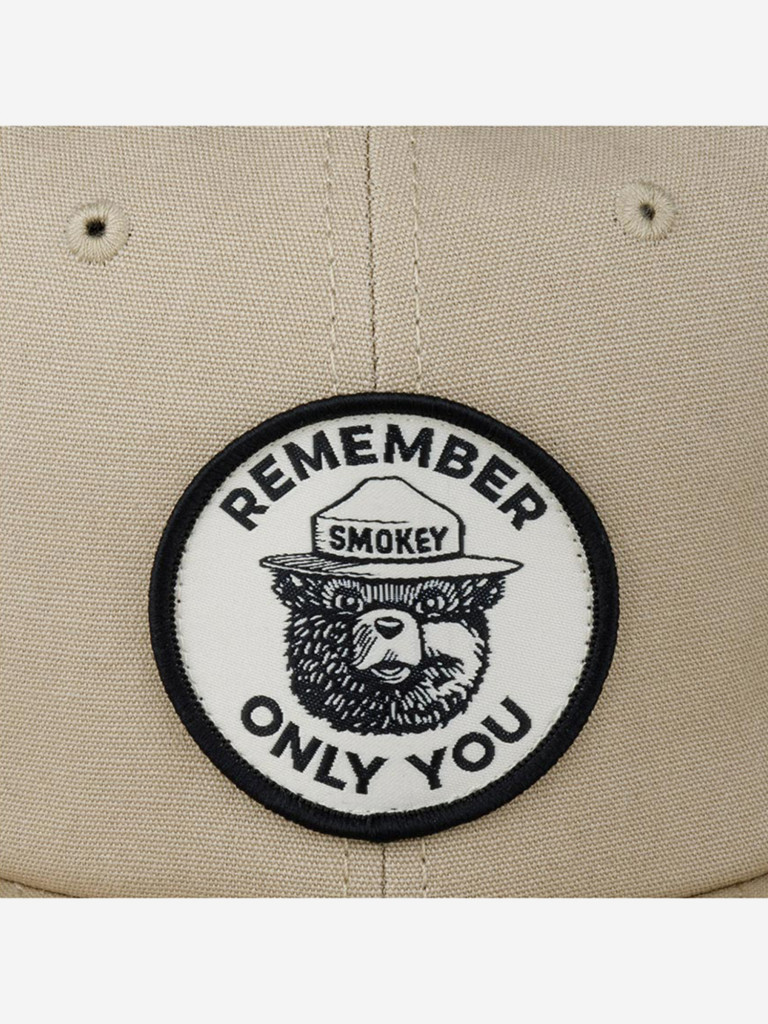 Бейсболка с прямым козырьком AMERICAN NEEDLE 21018A-SBEAR Smokey Bear Alpine