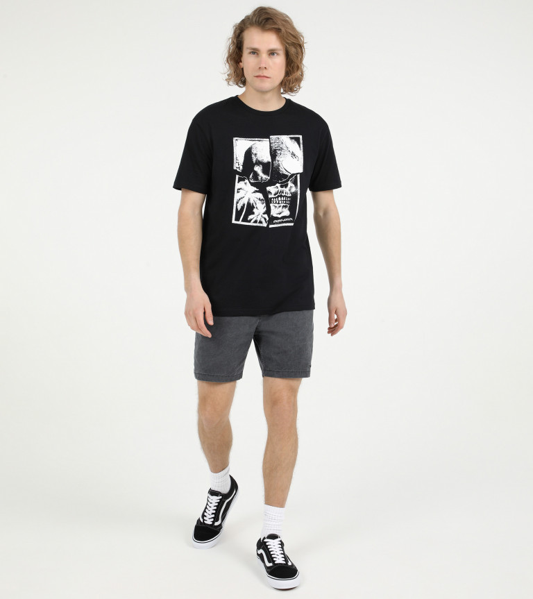 Футболка мужская Quiksilver Flaxton