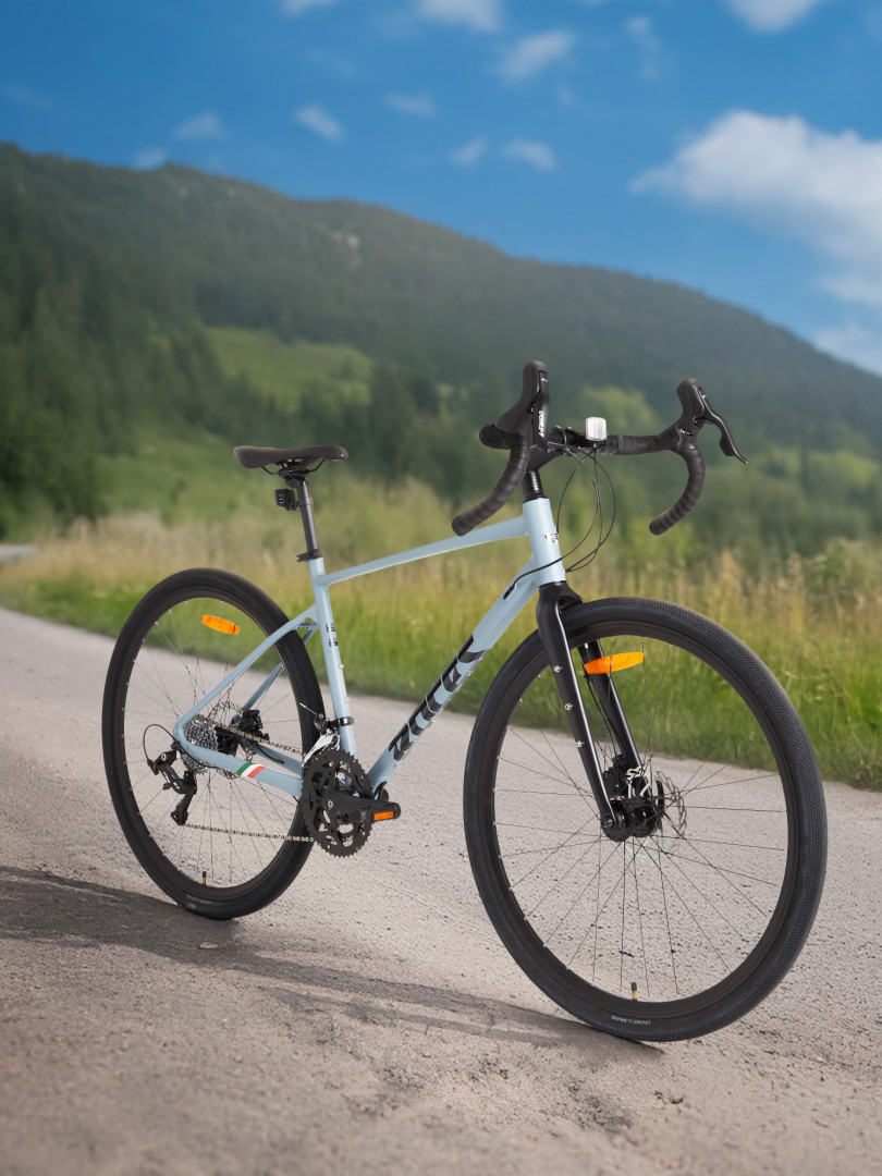 Велосипед гравийный Roces Strada 20 28 2024 Серый 55999₽