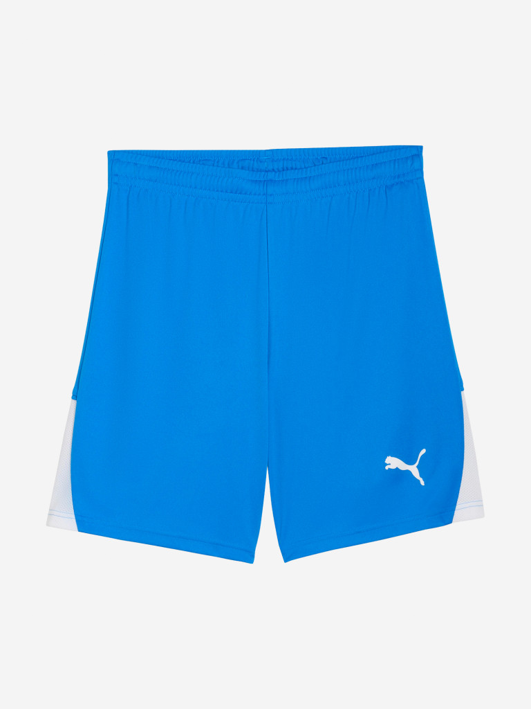 Шорты мужские PUMA Teamliga26