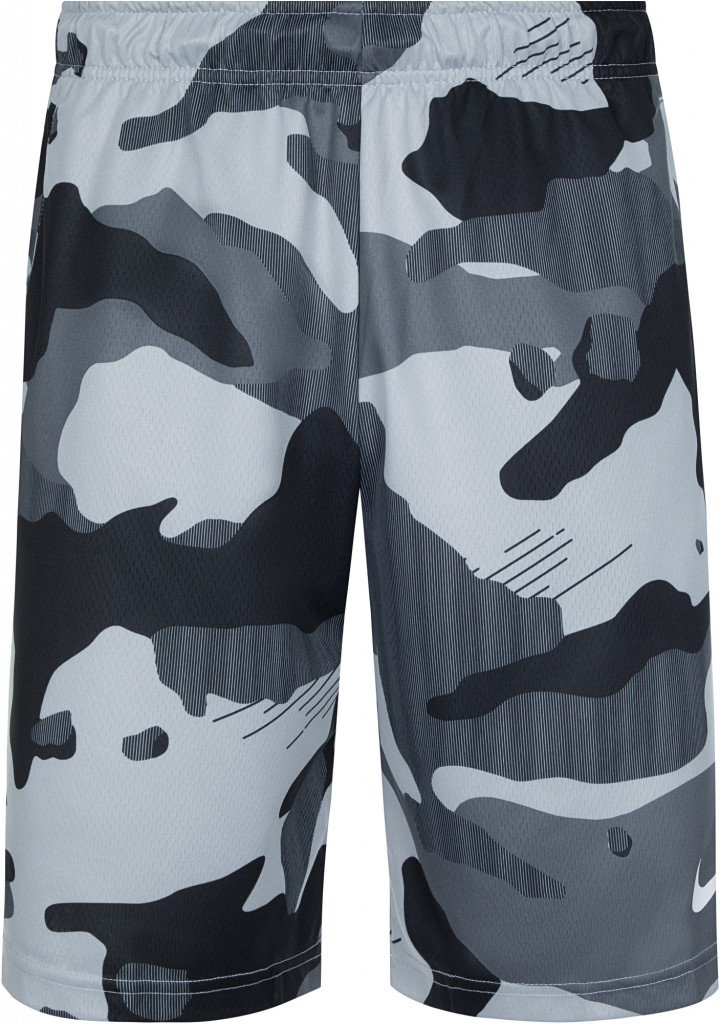 Шорты мужские Nike Dry