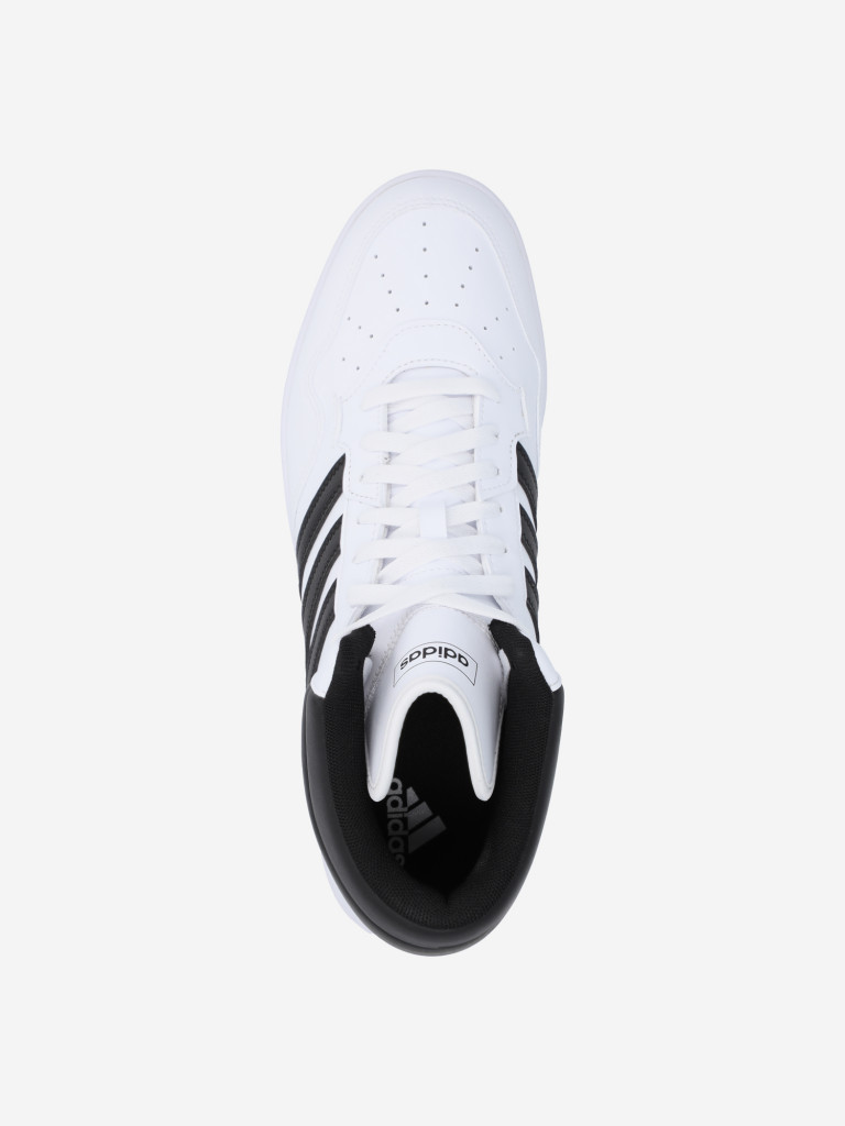 Кеды мужские adidas Hoops 4.0