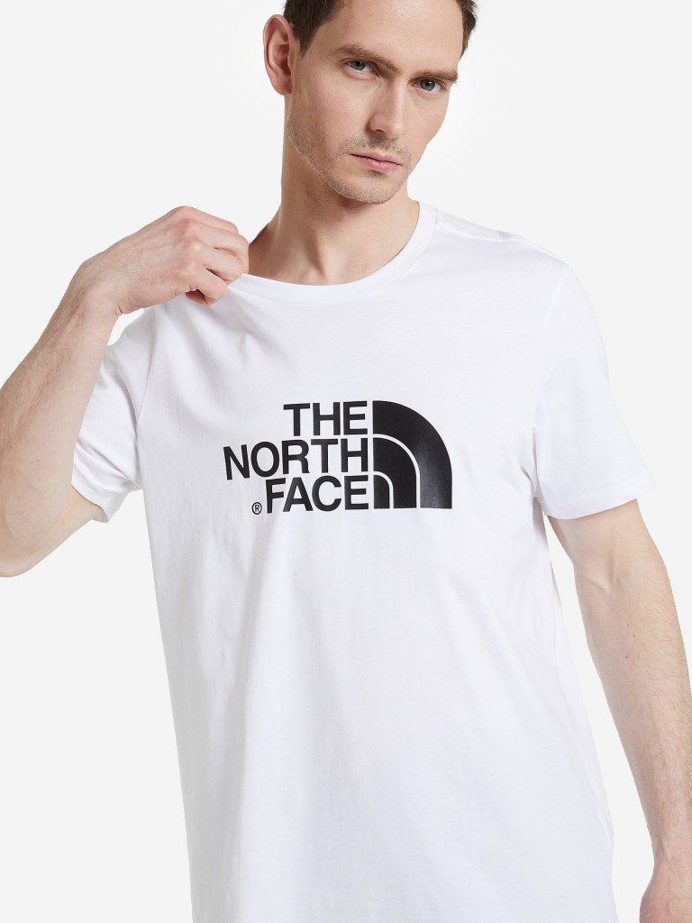 Футболка мужская The North Face Easy