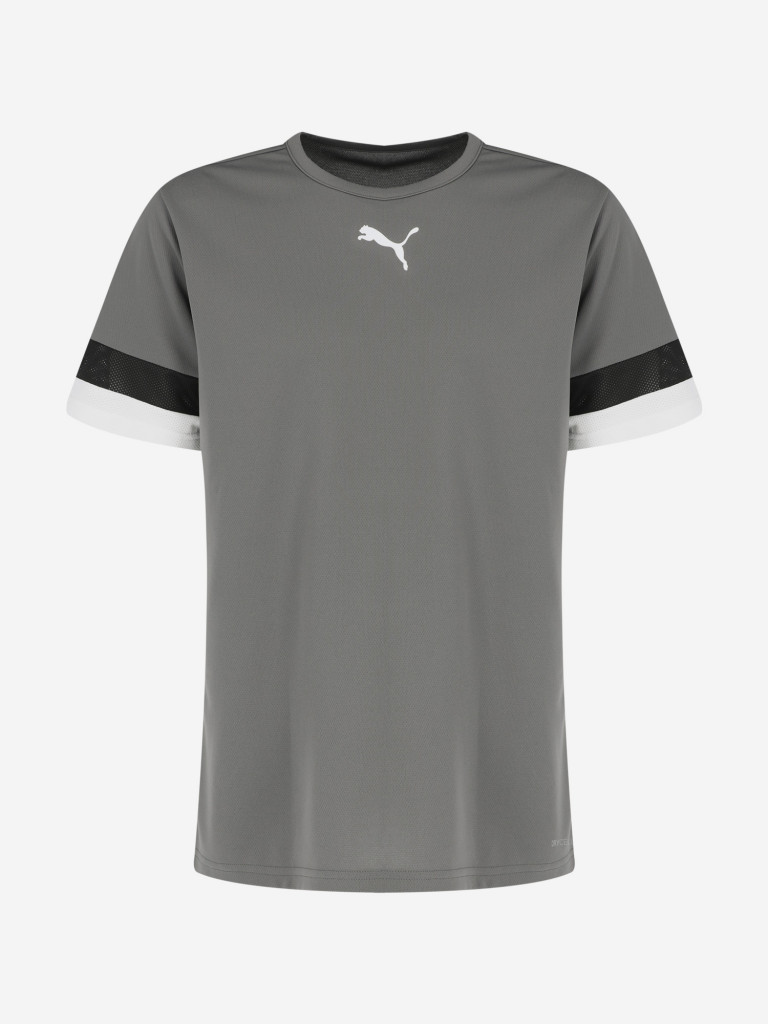 Футболка мужская PUMA Teamrise Jersey
