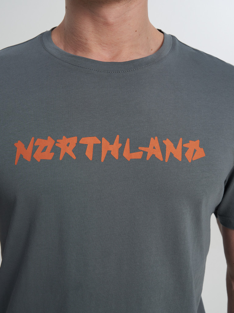 Футболка мужская Northland