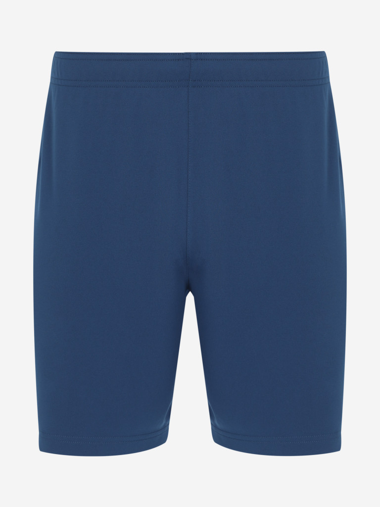 Шорты мужские Demix Legacy