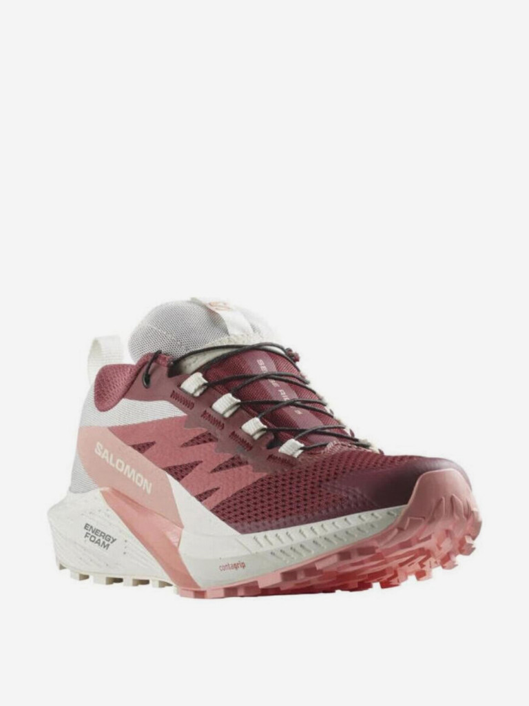 Кроссовки Salomon Sense Ride 5 GORE-TEX