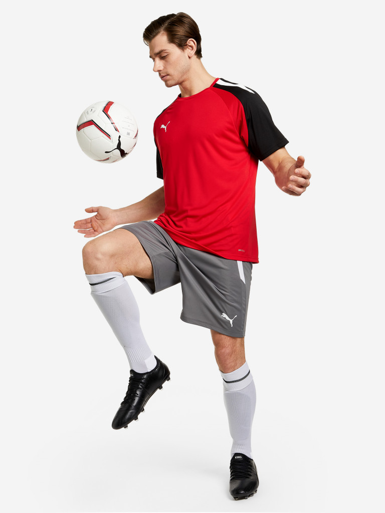 Шорты мужские PUMA teamLIGA