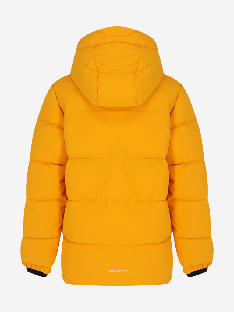 Пуховик для мальчиков IcePeak Louin