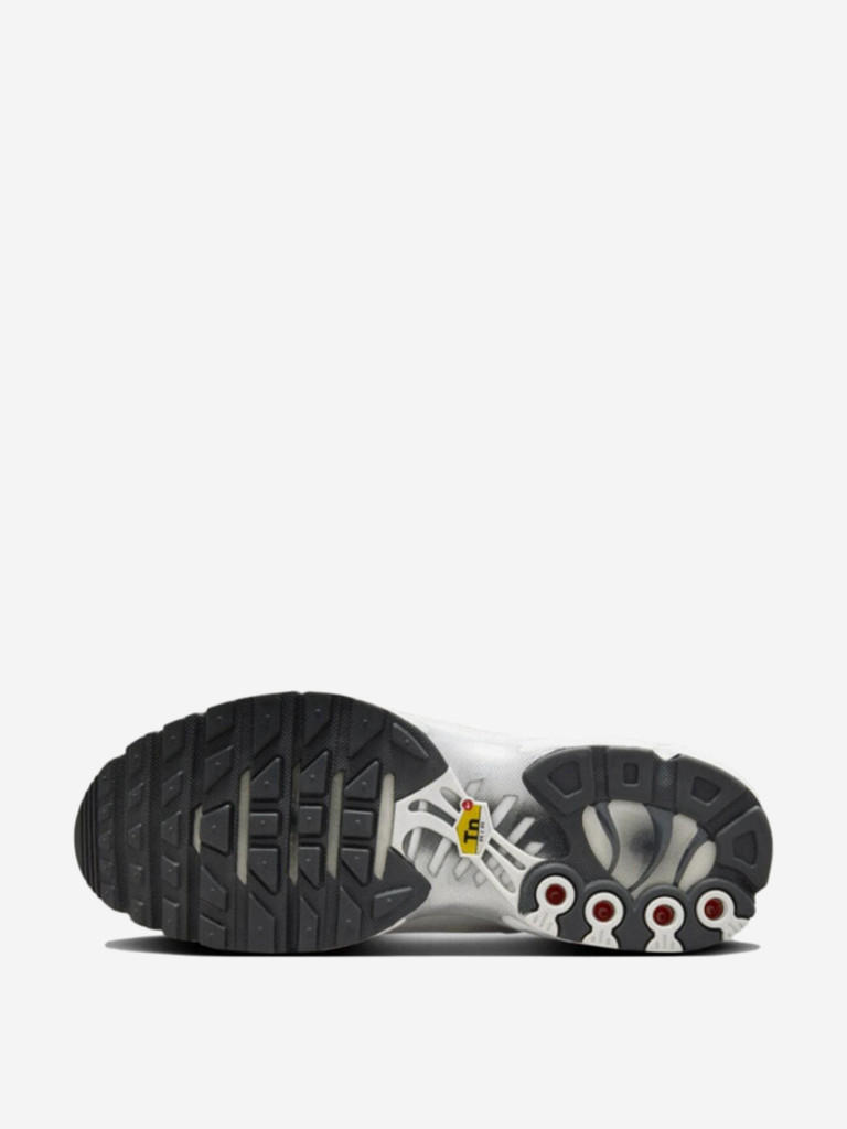 Кроссовки Nike Air Max Plus Platinum Tint Women's