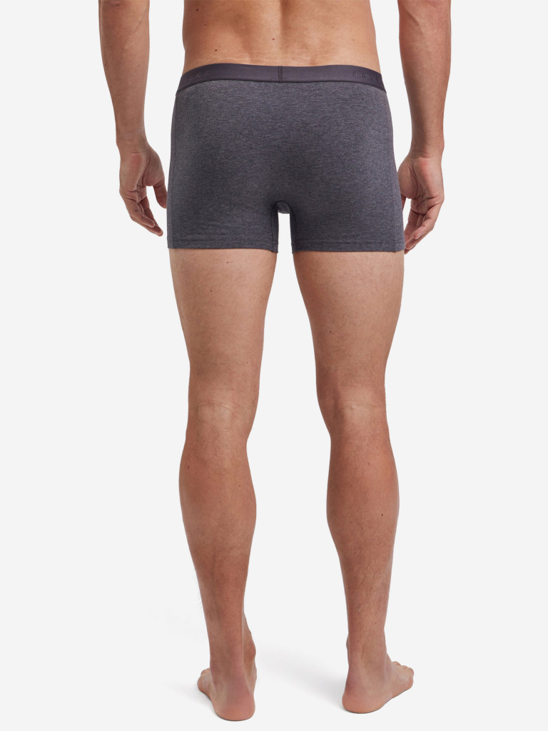 Набор мужских трусов FALKE