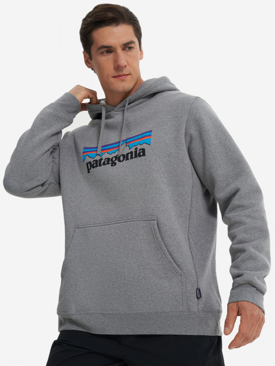 Худи мужское Patagonia Logo Uprisal