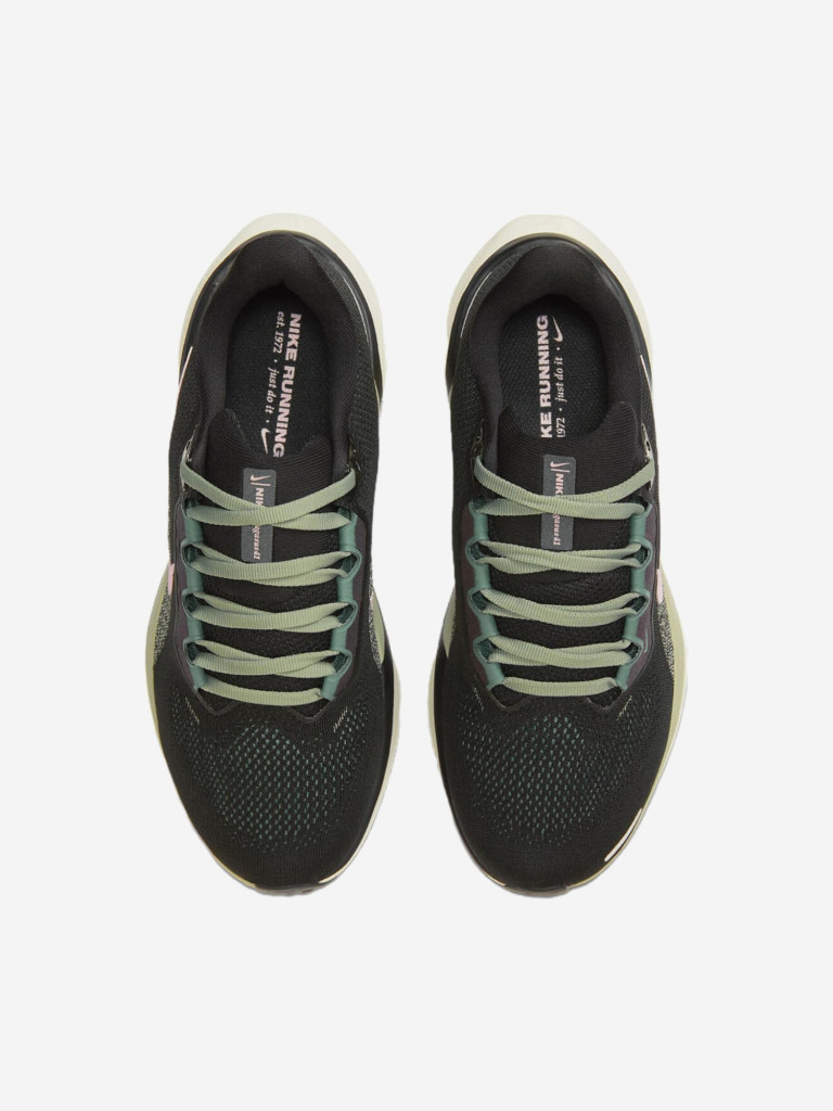 Кроссовки Nike Air Zoom Pegasus 41