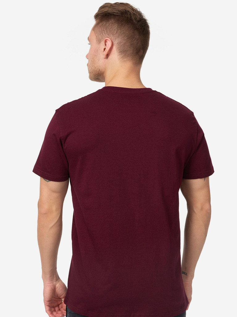Футболка мужская LONSDALE LANGGETT