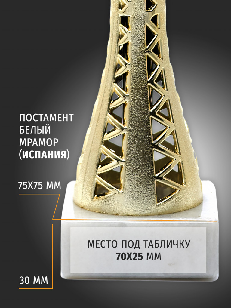 Кубок спортивный для награждения победителей 31 см
