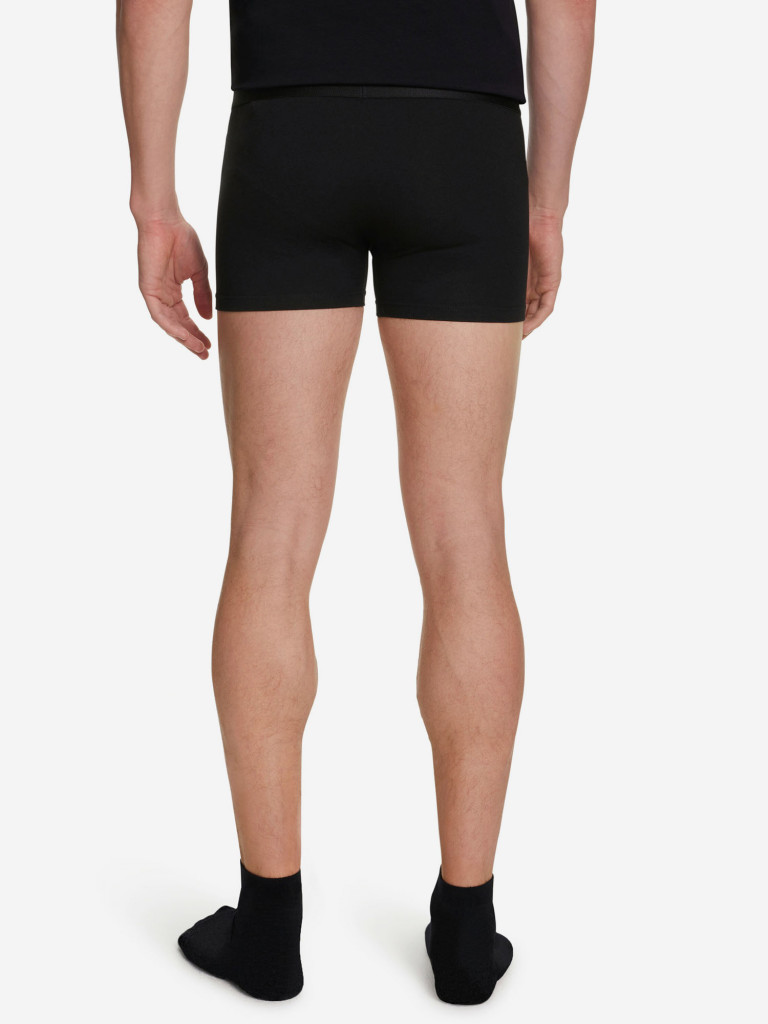 Мужские трусы FALKE