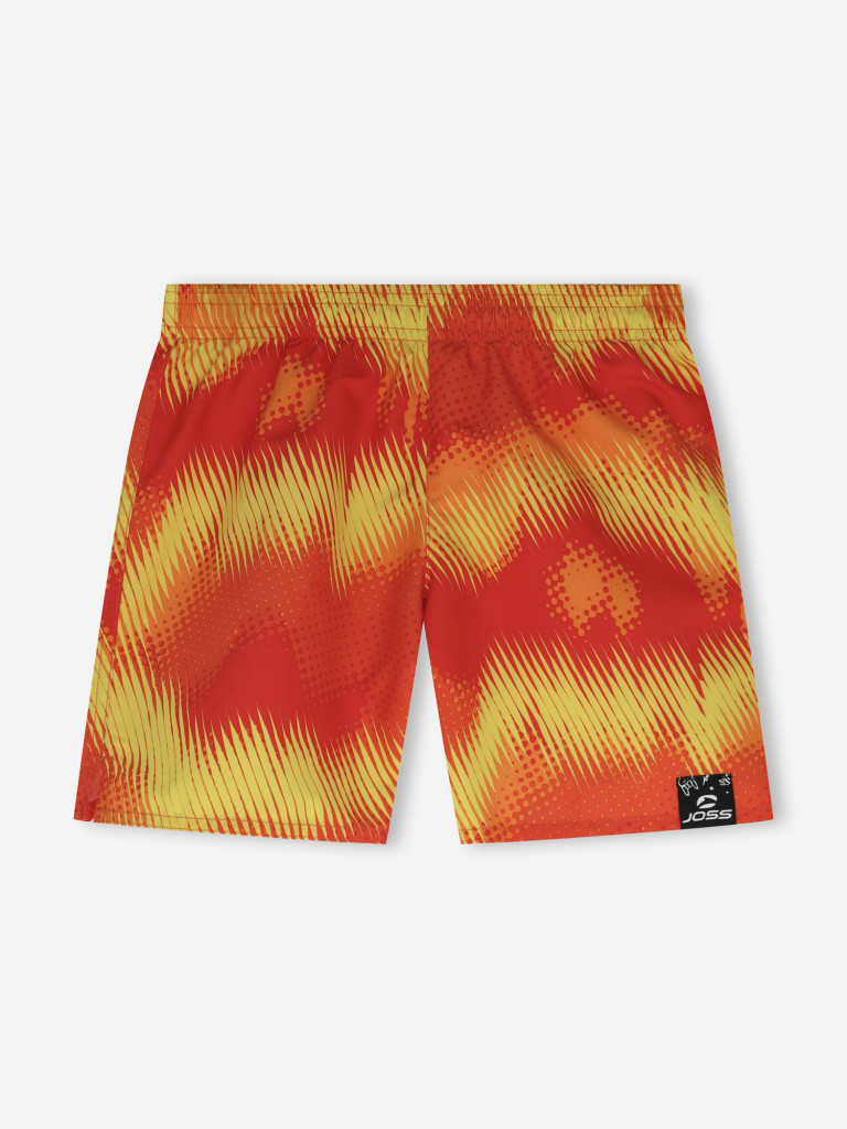 Шорты плавательные для мальчиков Joss