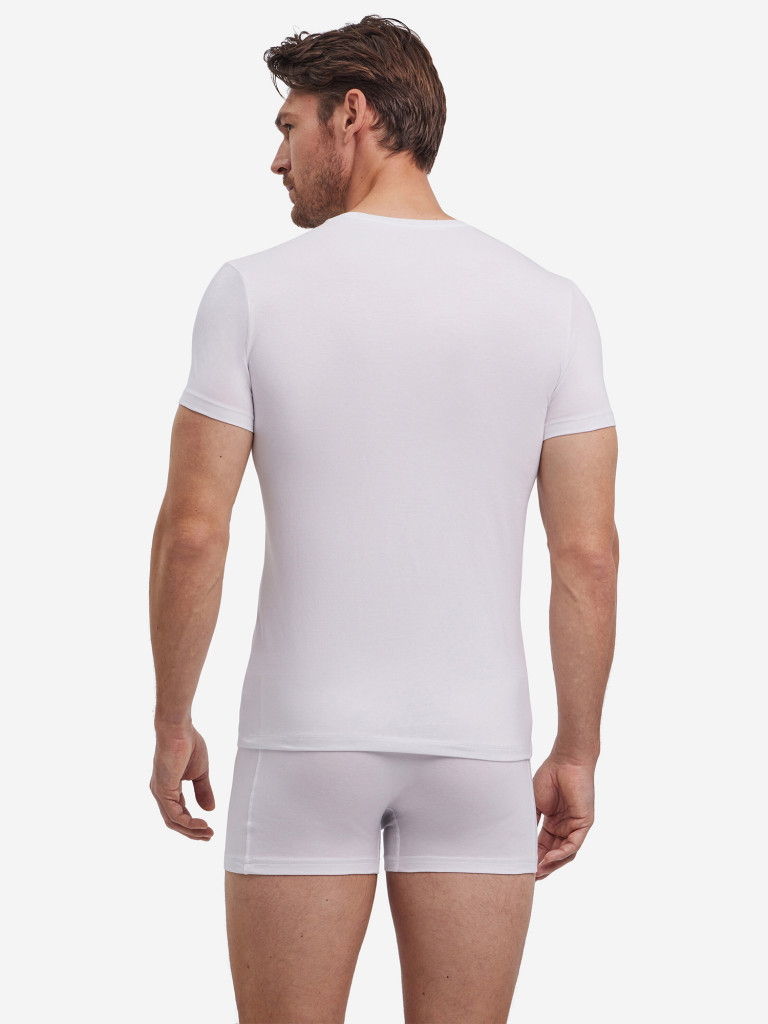 Набор мужских футболок FALKE