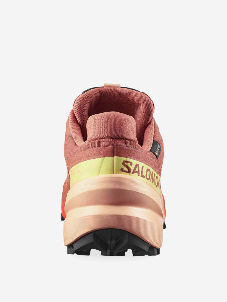 Кроссовки беговые Salomon Speedcross 6 GTX W
