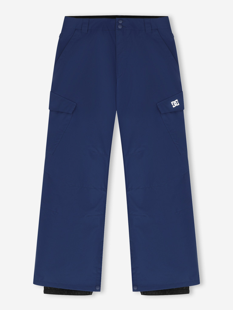 Брюки утепленные мужские DC Shoes Banshee