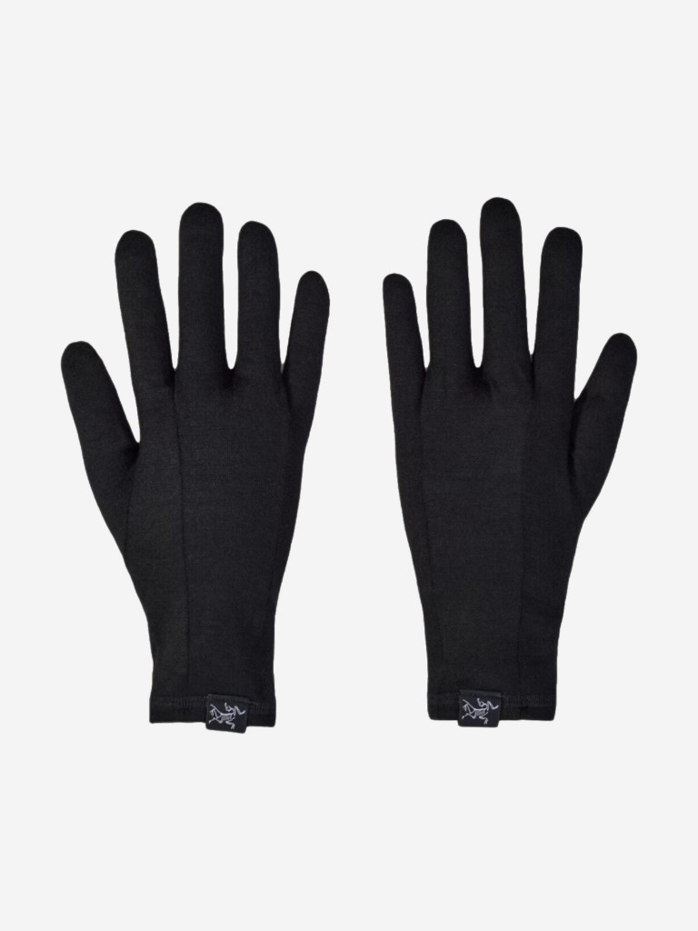 Перчатки ARC'TERYX