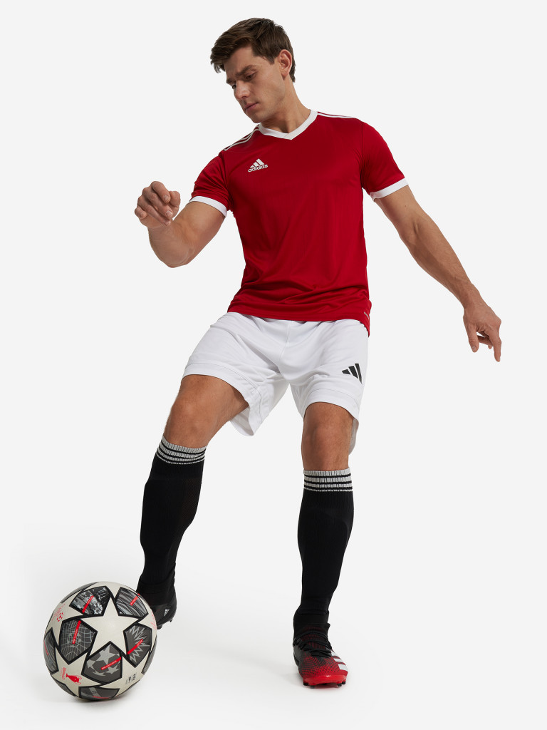 Шорты мужские adidas Squa25