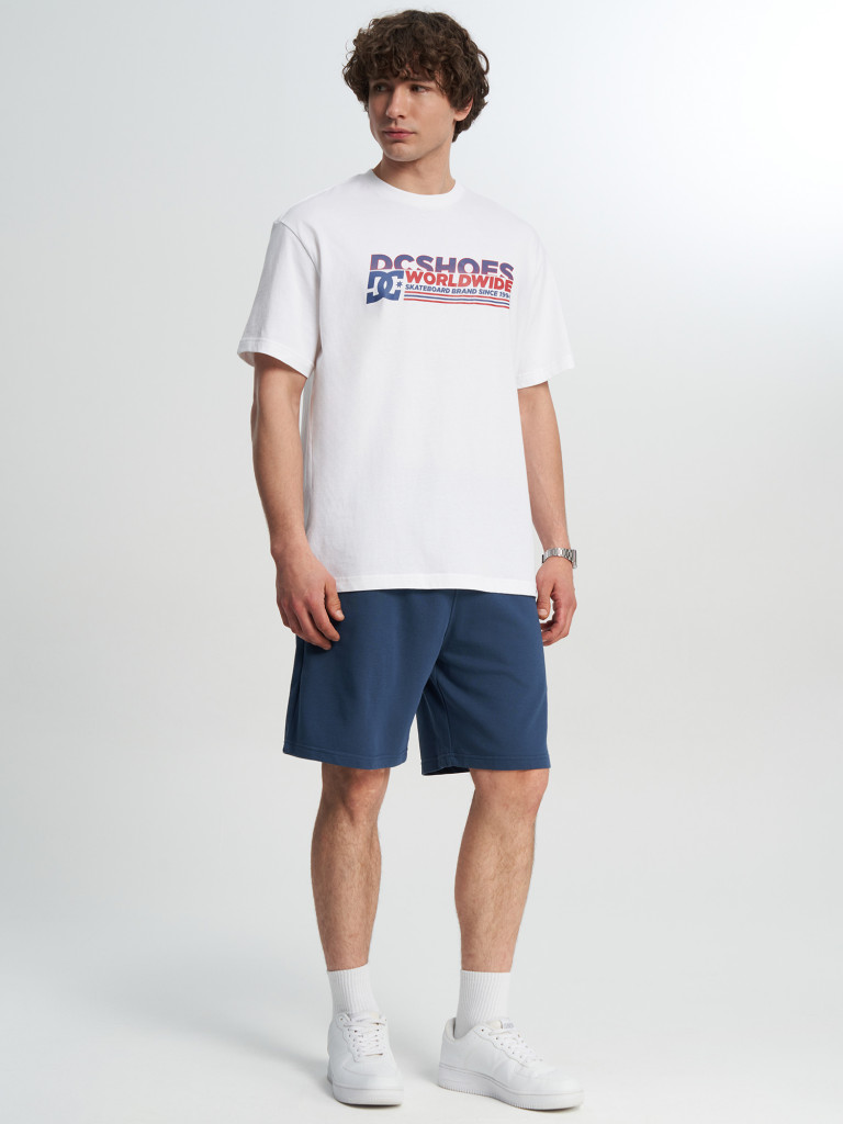 Шорты мужские DC Shoes Vantura