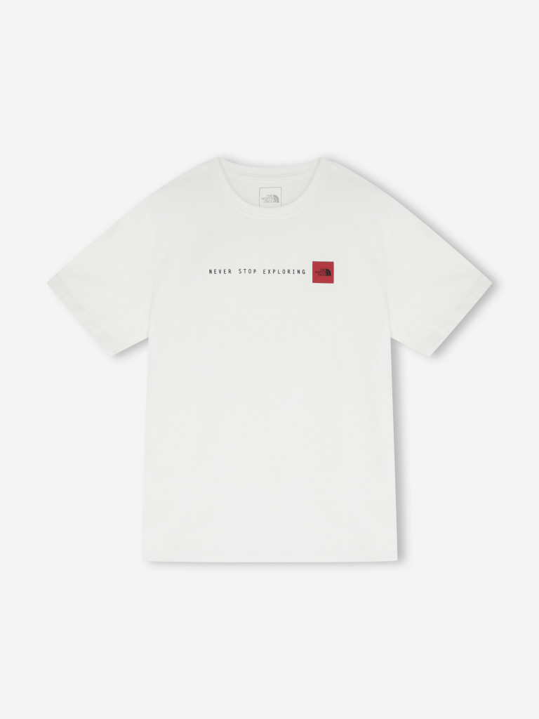 Футболка мужская The North Face Never Stop Exploring