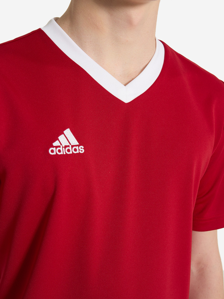 Футболка для мальчиков adidas Entrada 22