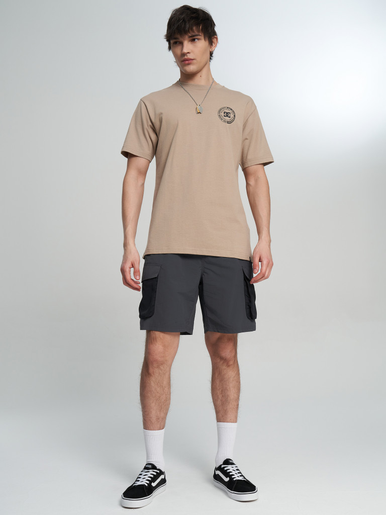 Футболка мужская DC Shoes