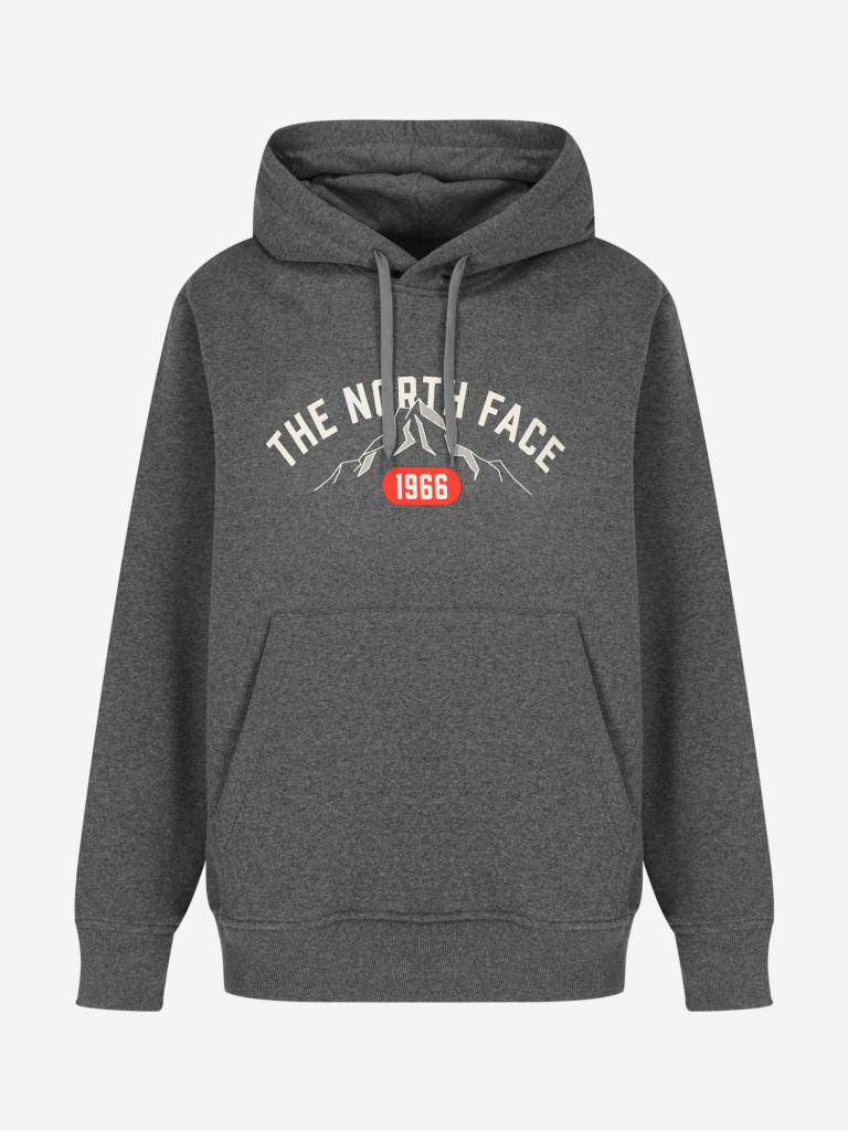 Худи мужское The North Face Varsity Graphic