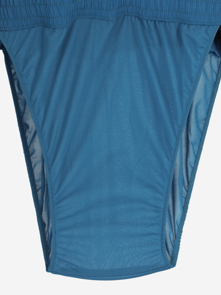 Шорты пляжные мужские Quiksilver Everyday Vert Volley