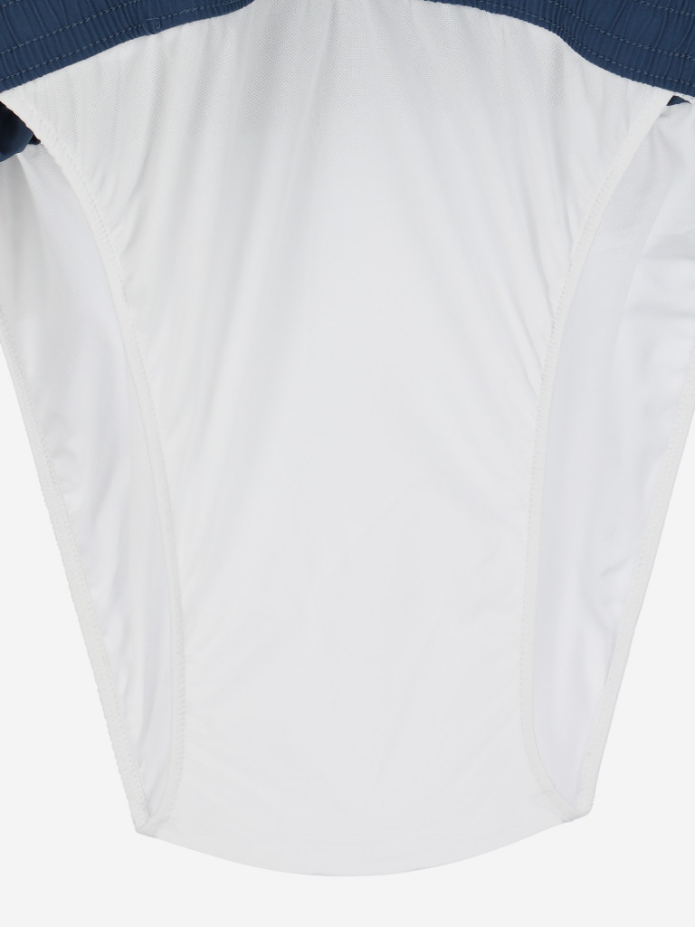 Шорты пляжные мужские Quiksilver Sun Stroke Volley