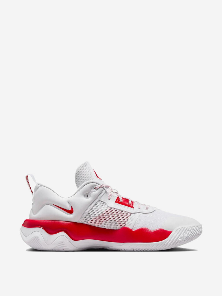 Кроссовки для баскетбола Nike Giannis Immortality 3