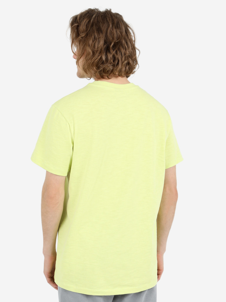 Футболка мужская Nike