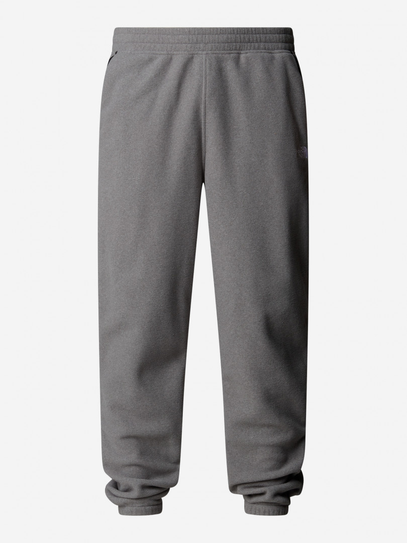 Брюки флисовые мужские The North Face Glacier Серый 8299₽
