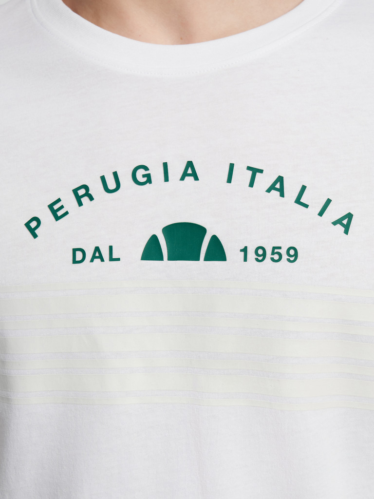 Футболка мужская Ellesse