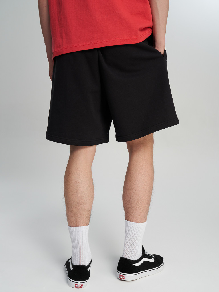 Шорты мужские Vans Blocked Box