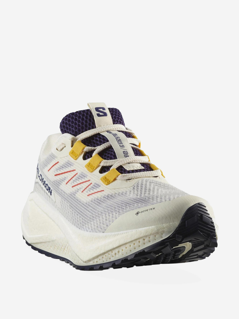 Кроссовки беговые Salomon Aero Blaze 3 GRVL GTX W