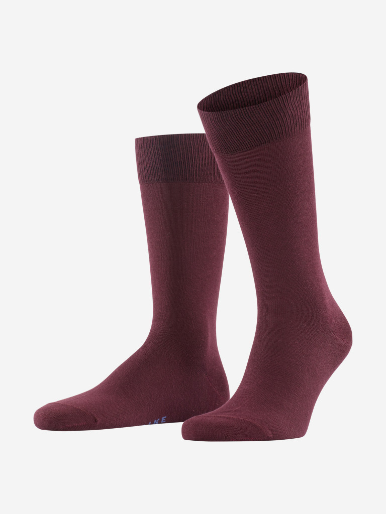 Мужские носки FALKE