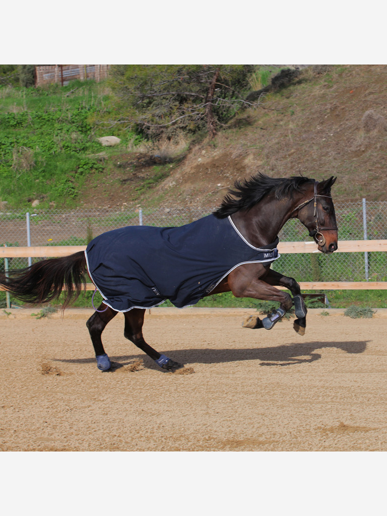 Попона для шагалки/водилки Первая Конная Мануфактура SOFTSHELL WALKER RUG
