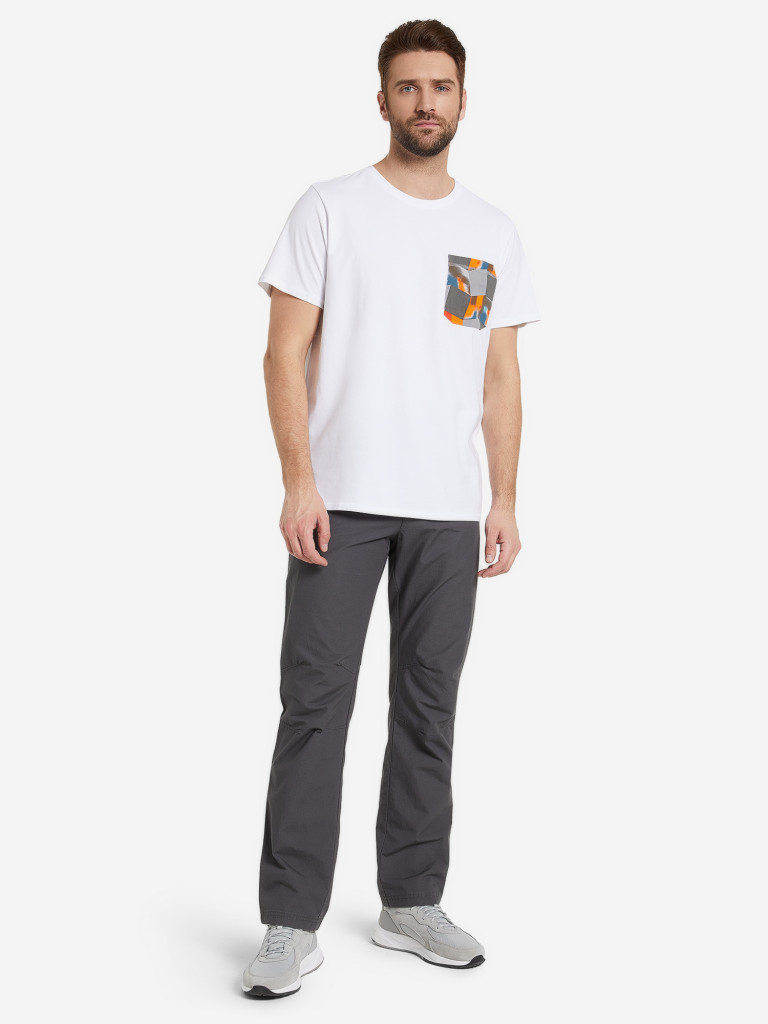Футболка мужская IcePeak Ellston