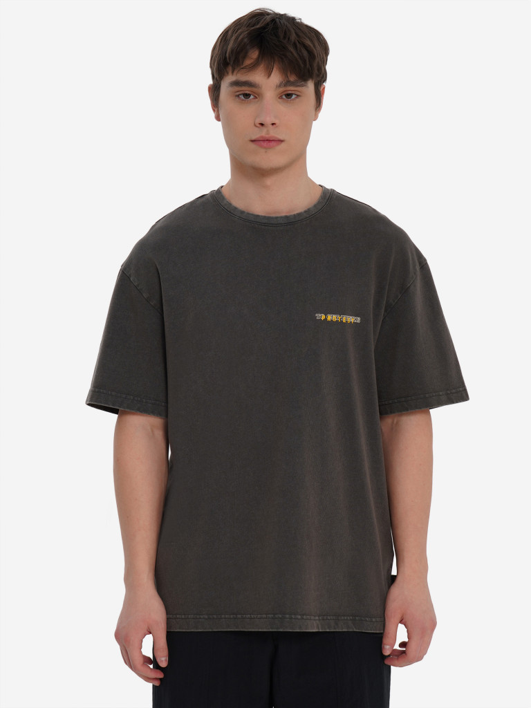 Футболка мужская Protest