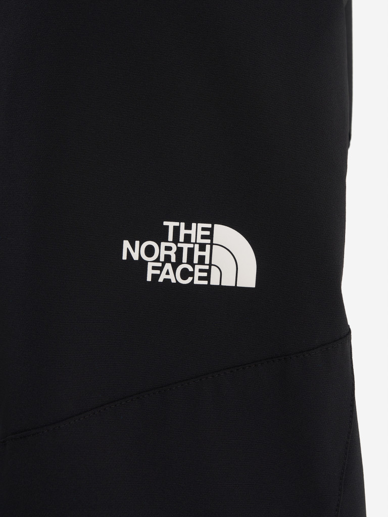 Брюки мужские The North Face Alpine Ridge