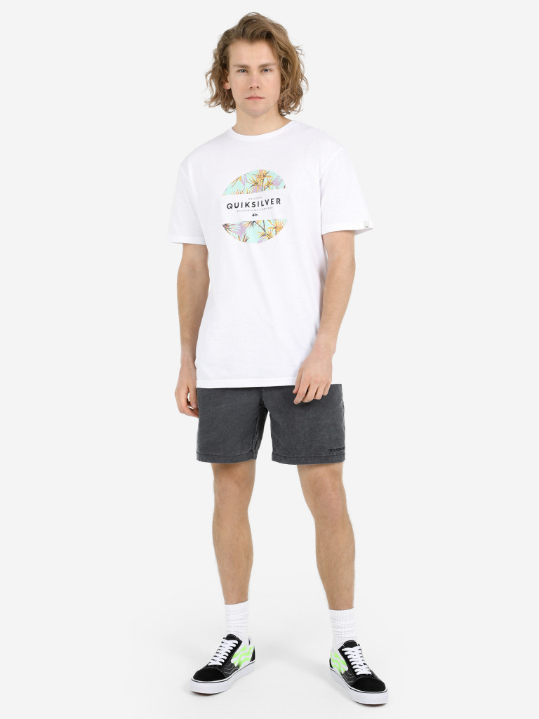 Футболка мужская Quiksilver Flaxton