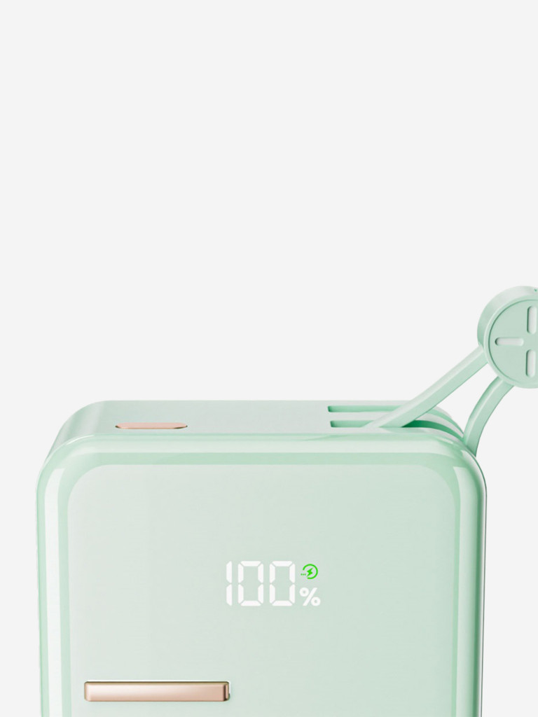 Внешний аккумулятор ROCK Y18 Fridge Series Fast Charging Power Bank with Cables зеленый