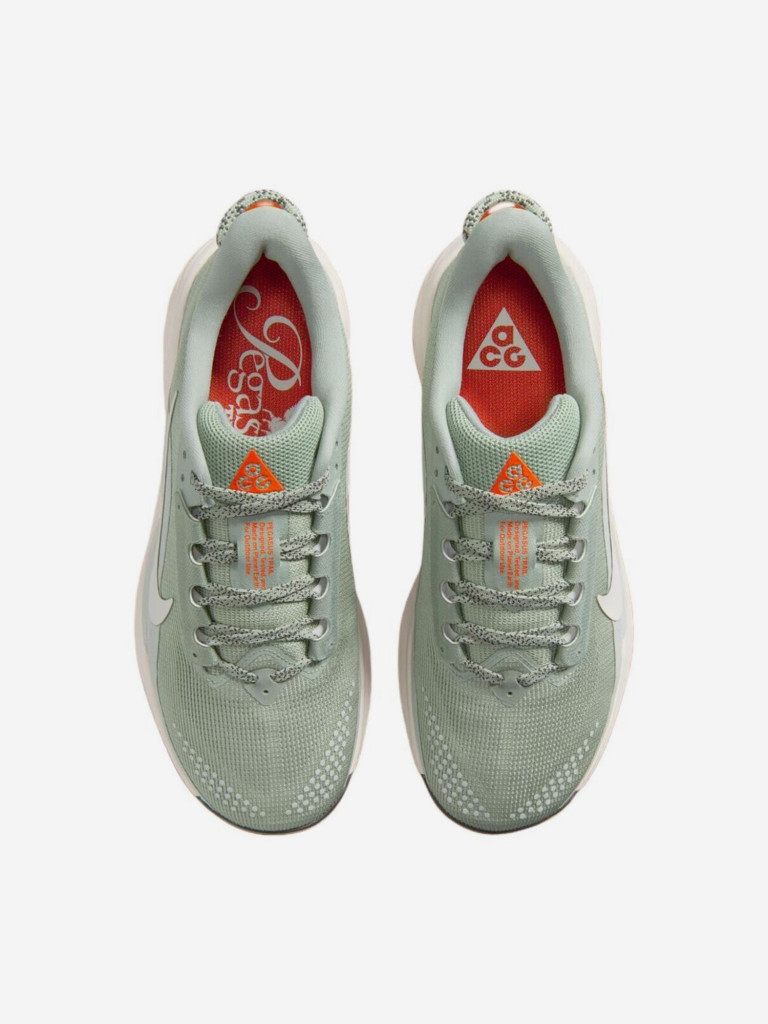 Кроссовки Nike ACG PEGASUS TRAIL