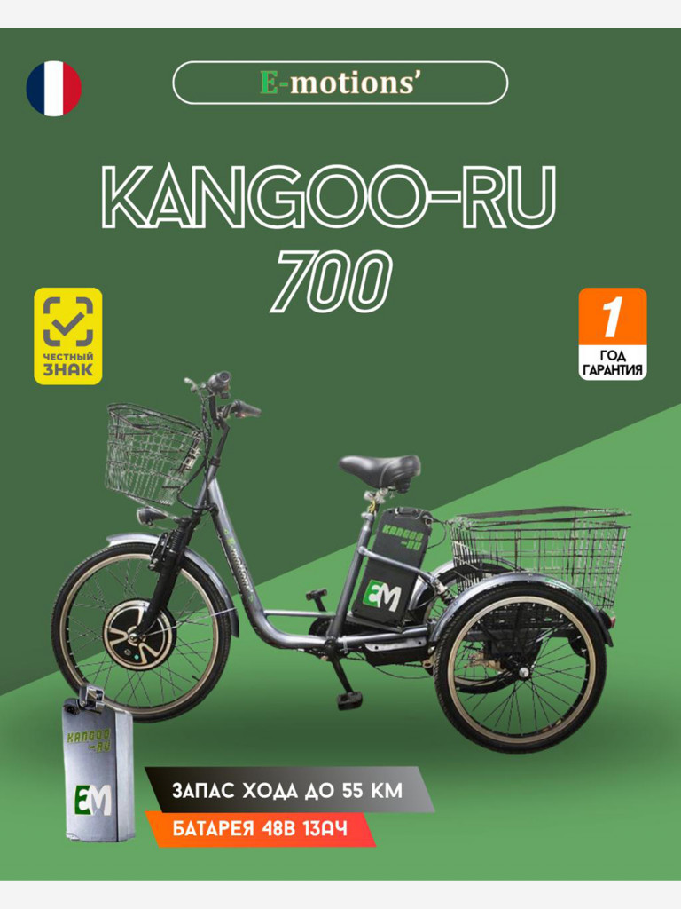 Трехколесный электровелосипед E-motions' KANGOO-RU 700w
