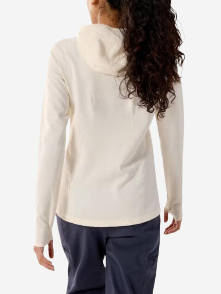 Худи Arcteryx Taema