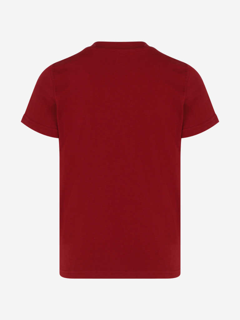 Футболка для мальчиков PUMA Squad Small Graphic